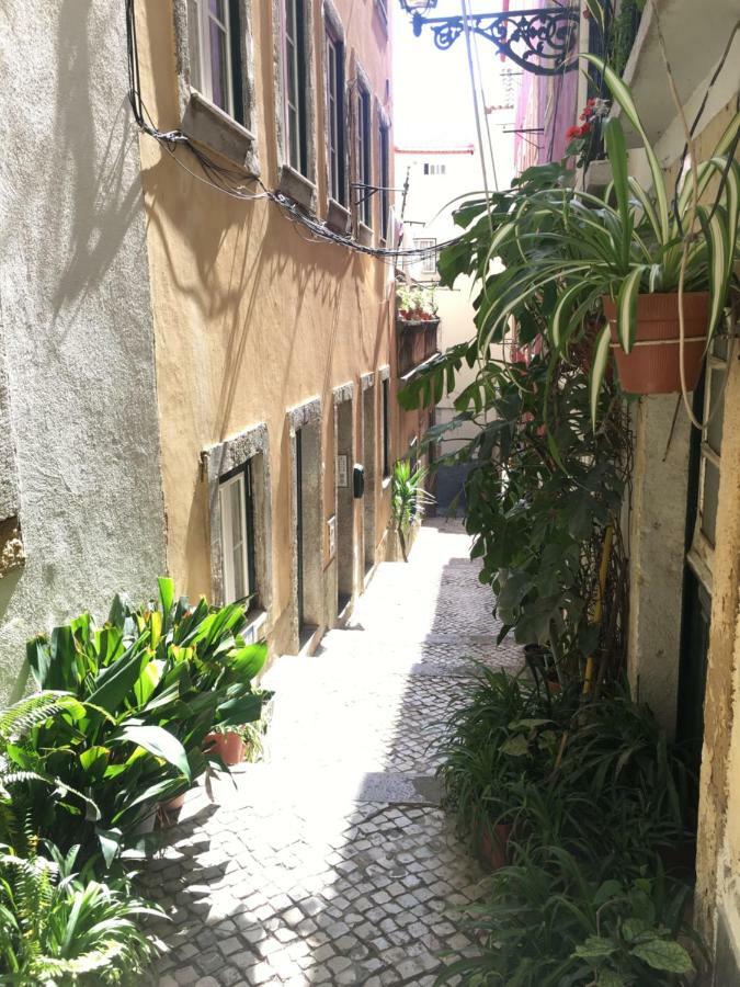 Casa Da Saudade, A Cozy Apartment In Alfama Lizbona Zewnętrze zdjęcie